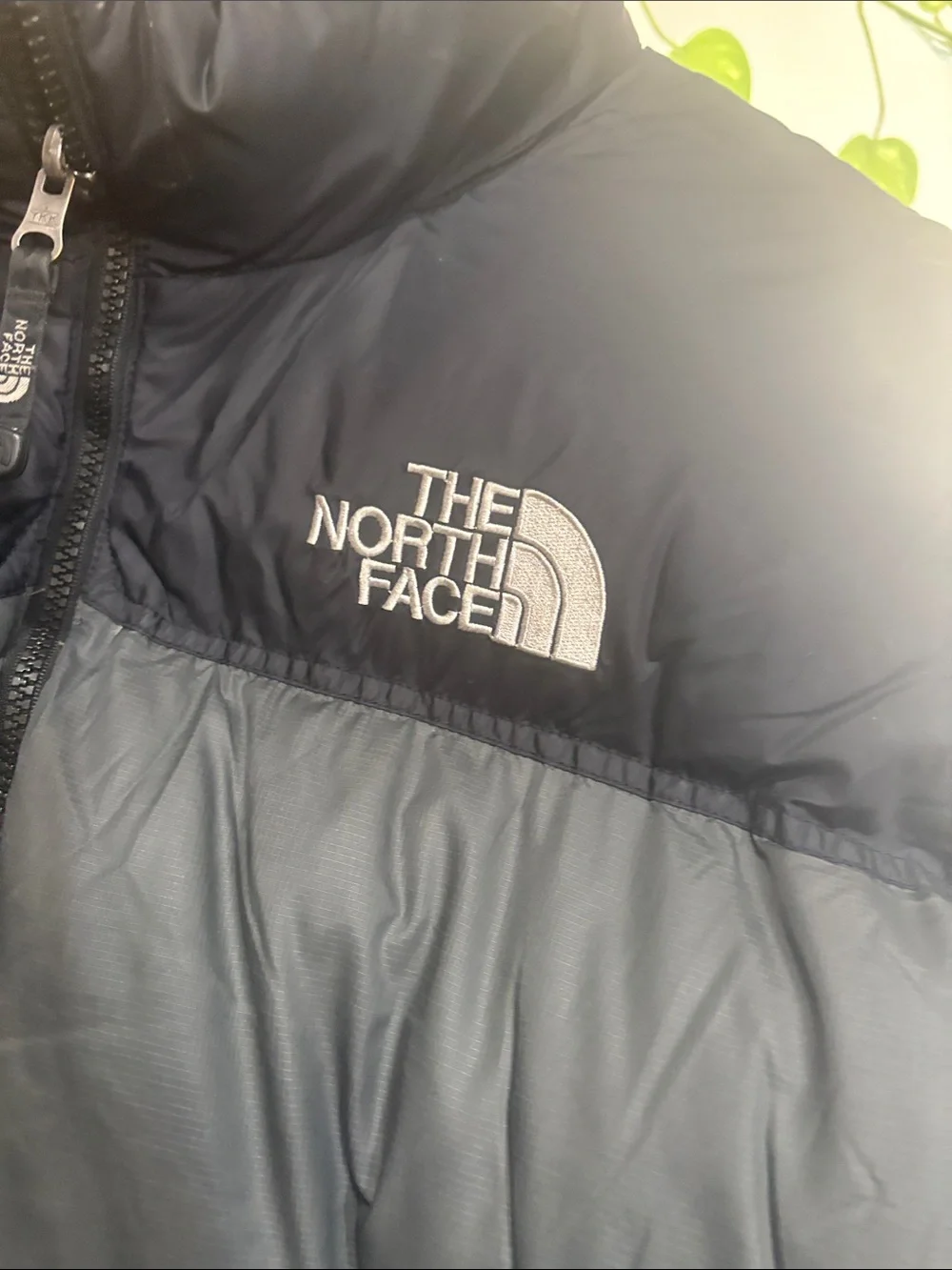 The North Face Men's Black Quilted Down Puffer Jacket